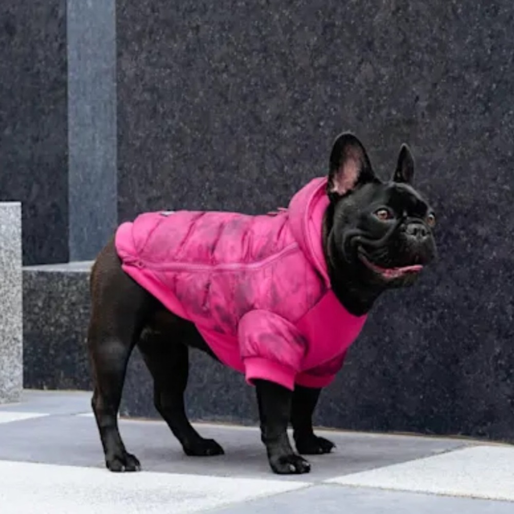Canada Pooch Dog Pink Jacket / Coat with Hood